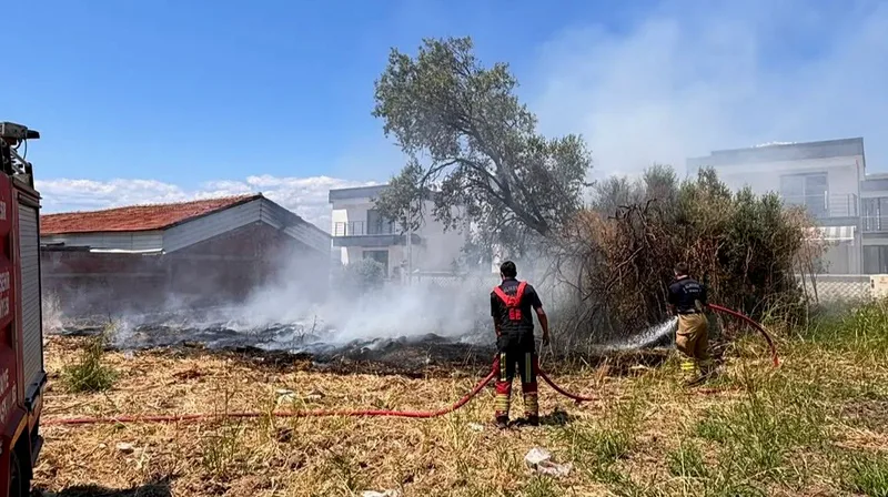 Gömeç ilçesi Yaya Mahallesi'nde boş bir arazide çıkan ot yangını,