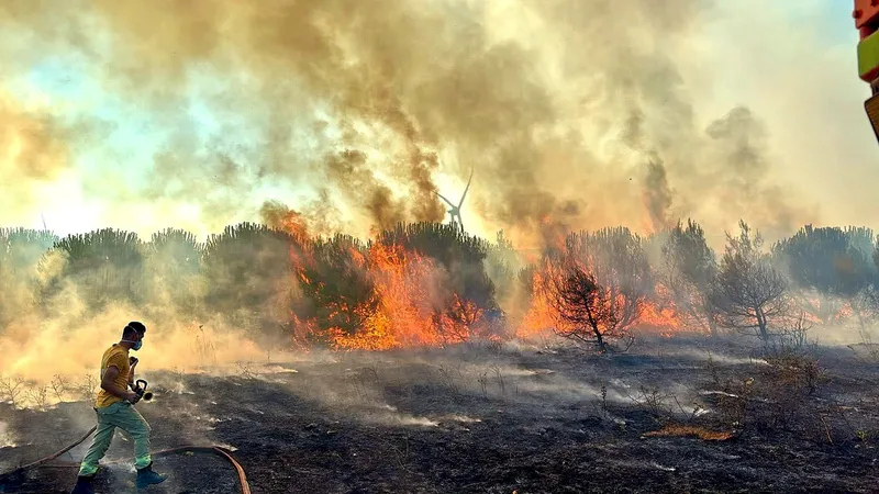 Balıkesir'in Kepsut ilçesine bağlı Armutlu Mahallesi'nde çıkan orman yangını, Balıkesir