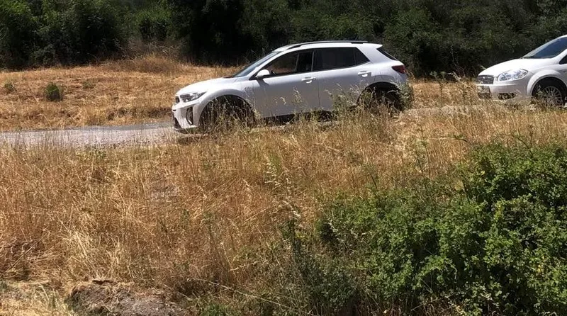 Kepsut ilçesine bağlı Sarıfakılar Mahallesi yakınlarında çıkan orman yangını, Balıkesir