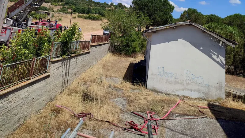 Balıkesir'in Kepsut ilçesine bağlı Nusret Mahallesi'nde çıkan arazi yangını, şiddetli