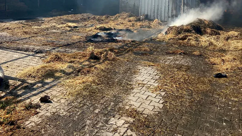Balıkesir'in Kepsut ilçesi Mahmudiye Mahallesi'ndeki bir saman deposunda çıkan yangın,