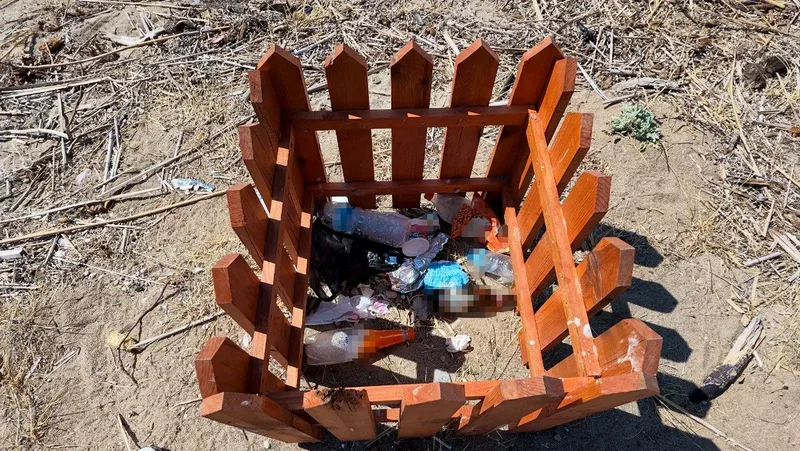 Ayvalık'ın dünyaca değerli endemik bitkisi kum zambaklarını korumak için yerleştirilen