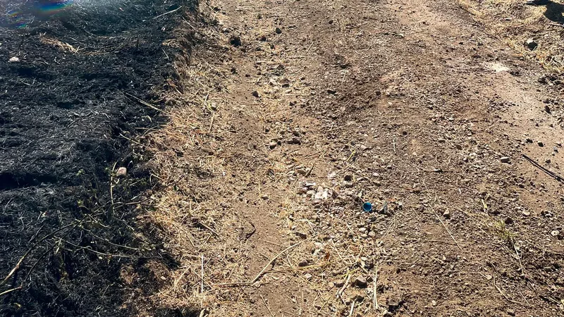 Balıkesir'in Manyas ilçesi Kalebayır Mahallesi yolunda seyir halindeki hafif ticari