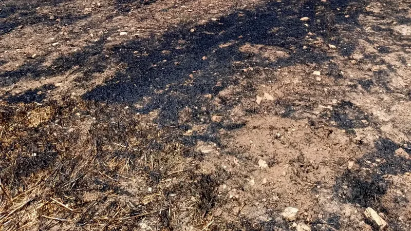 Savaştepe ilçesi Sarıçalı mevkiinde saman balya makinesinde çıkan yangın, kısa