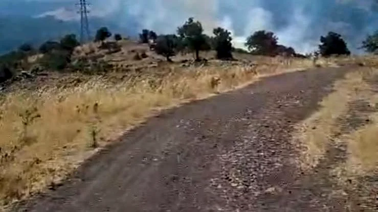 Ayvalık Altınova Mahallesi'nde güneş enerji panellerinin bulunduğu dağlık alanda çıkan