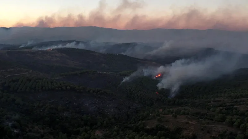 Balıkesir'in Ayvalık ilçesinde Tıfıllar Köyü'ne ulaşan orman yangınında ahırlar, tarım