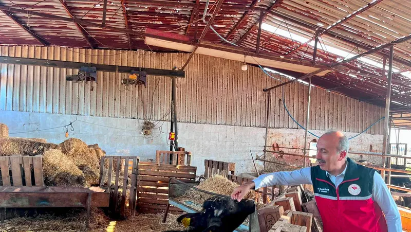Balıkesir'da manda yetiştiriciliği yapan bir işletme incelendi. İl Müdürü Dr.