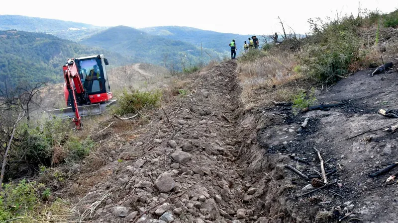 Balıkesir Orman Bölge Müdürlüğü, 2025 yılı orman yangınından etkilenen Kirazköy