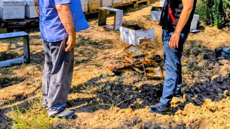 Balıkesir İl Tarım ve Orman Müdürlüğü, il genelindeki arılı kovanları