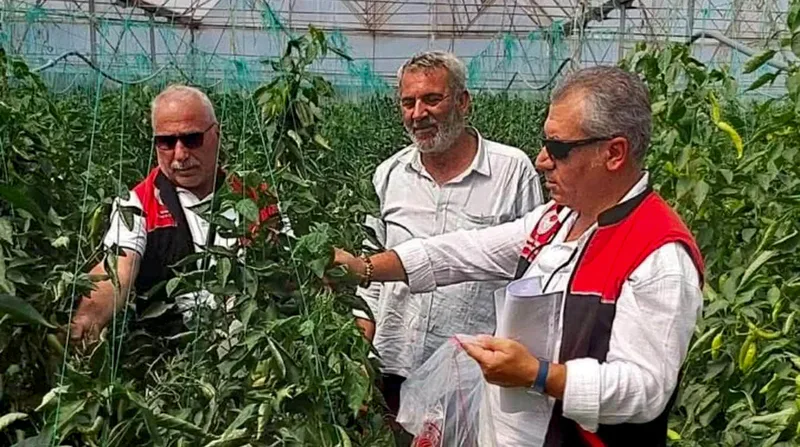 Balıkesir İl Tarım ve Orman Müdürlüğü, bitkisel üretimde güvenilir gıda