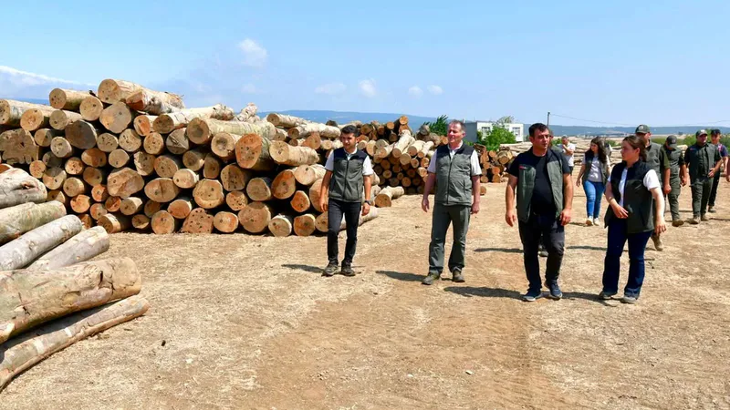 Balıkesir Orman Bölge Müdürü Musa Şen, Bandırma Orman İşletme Müdürlüğü