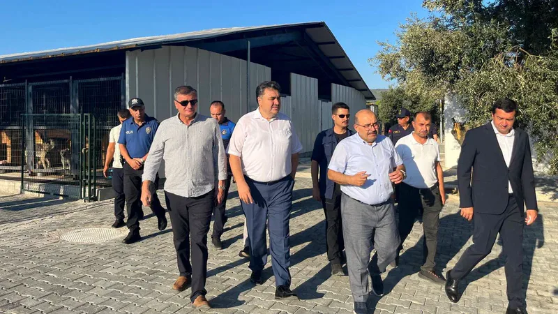Balıkesir Valisi İsmail Ustaoğlu, Havran ilçesini ziyaret ederek arkeolojik kazı