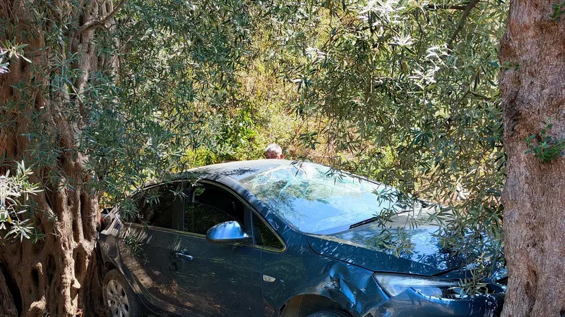 Bandırma ilçesi Edincik Mahallesi Düzler Yolu'nda kontrolden çıkan otomobil şarampole