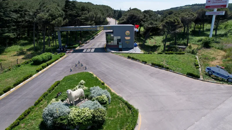 Bandırma Koyunculuk Araştırma Enstitüsü Islah ve Genetik Bölüm Başkanı Dr.