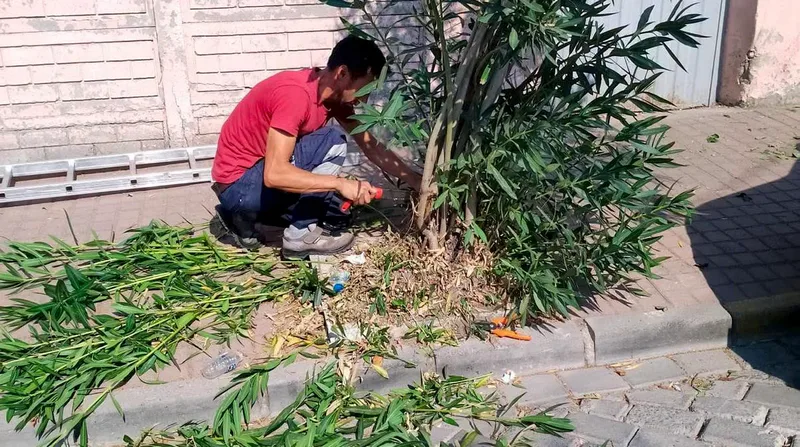 Bigadiç Belediyesi, ilçe genelinde çöp konteyneri temizliği, dezenfeksiyon ve ağaç