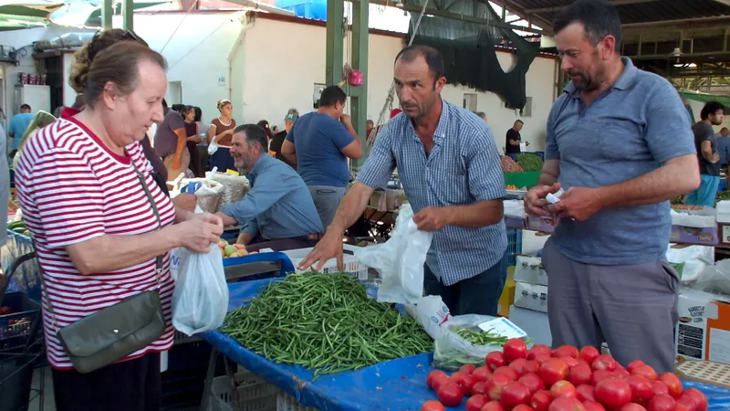 Kırtık Köyü'nde 13 yıl önce başlayan organik tarım, Burhaniye'de sezonun