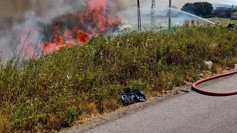 Burhaniye ilçesinde Çanakkale-İzmir Karayolu İskele Kavşağı yakınında çıkan ot yangını,