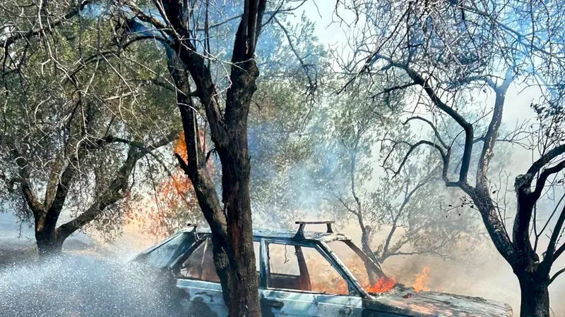 Balıkesir'in Burhaniye ilçesine bağlı Şarköy Mahallesi kırsalında bir otomobilde çıkan