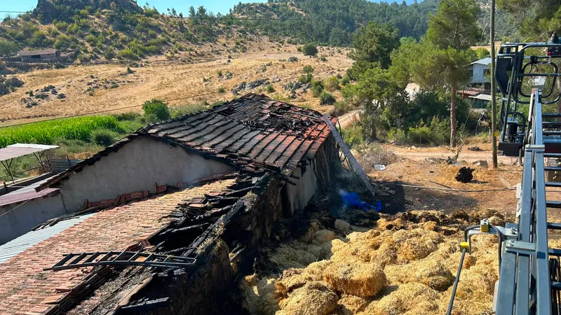 Dursunbey ilçesine bağlı Çiftçi Mahallesi'nde bir çiftlikte çıkan yangın, rüzgarın