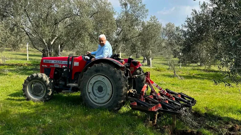 Edremit Ziraat Odası Başkanı Ali Yılmaz Diker, Eminkuyu mevkiinde zeytinliklere