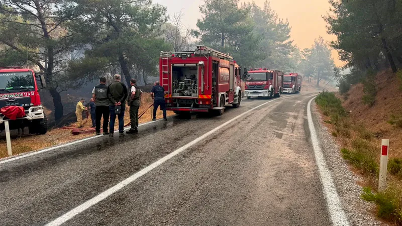 Balıkesir'in Gömeç ilçesinde başlayan orman yangını, rüzgarın etkisiyle Ayvalık istikametine