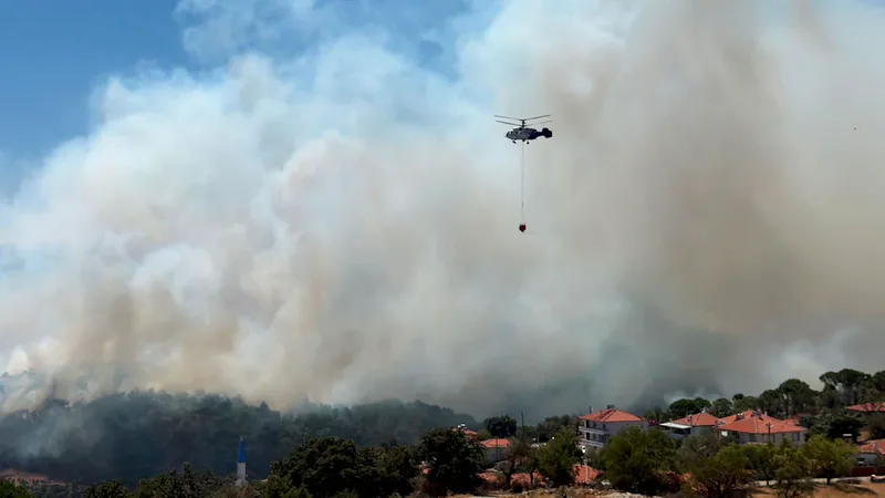 Gömeç ilçesinde başlayan ve rüzgarın etkisiyle Ayvalık ile Bergama'ya doğru
