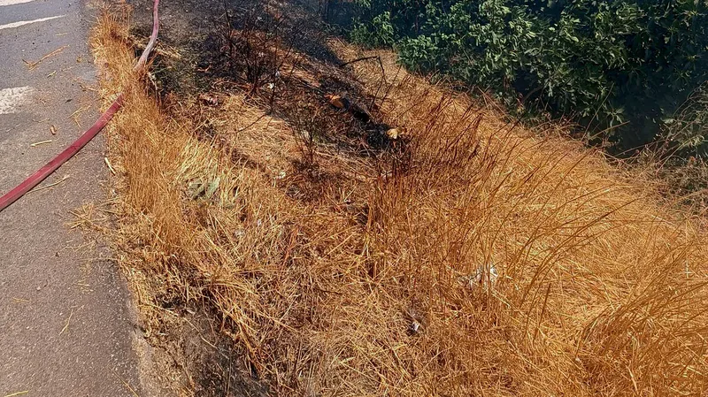 Gönen-Bandırma karayolu kenarındaki otluk alanda çıkan yangın, rüzgarın etkisiyle yakındaki