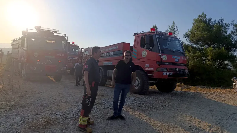 Balıkesir'in Havran ilçesine bağlı Tepeoba Mahallesi'nde makilik alanda başlayan orman