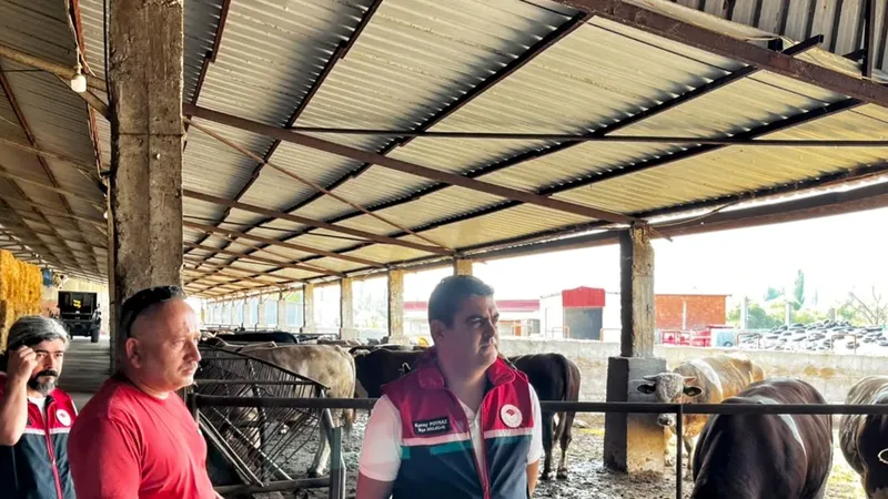 Balıkesir'in Kepsut ilçesinde İlçe Tarım ve Orman Müdürlüğü ekipleri, kırsal