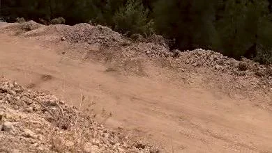 Balıkesir'in Sındırgı ilçesinde Düvertepe Mahallesi'nde çıkan orman yangınına 6 uçak,