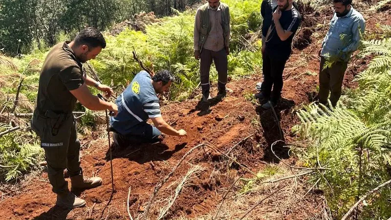 Balıkesir Orman Bölge Müdürlüğü, Sındırgı'da 2025 yılında çıkan orman yangınınin