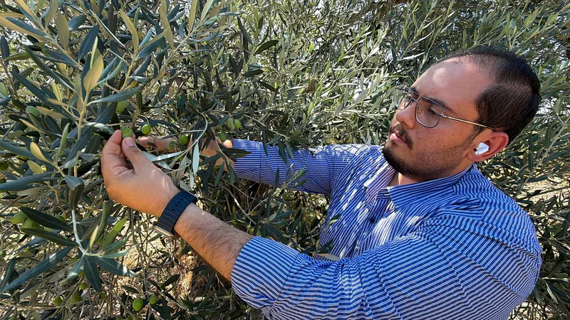 Ayvalık Ticaret Odası Genç Girişimciler Kurulu Başkanı Mustafa Kürlek, ABD'nin