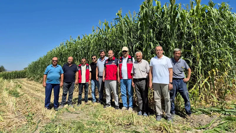 Balıkesir İl Tarım ve Orman Müdürlüğü koordinesinde yürütülen proje kapsamında