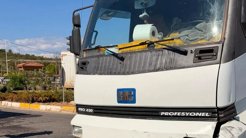 Ayvalık ilçesi yakınlarında E87 Karayolu üzerinde kamyon ile otomobilin çarpışması