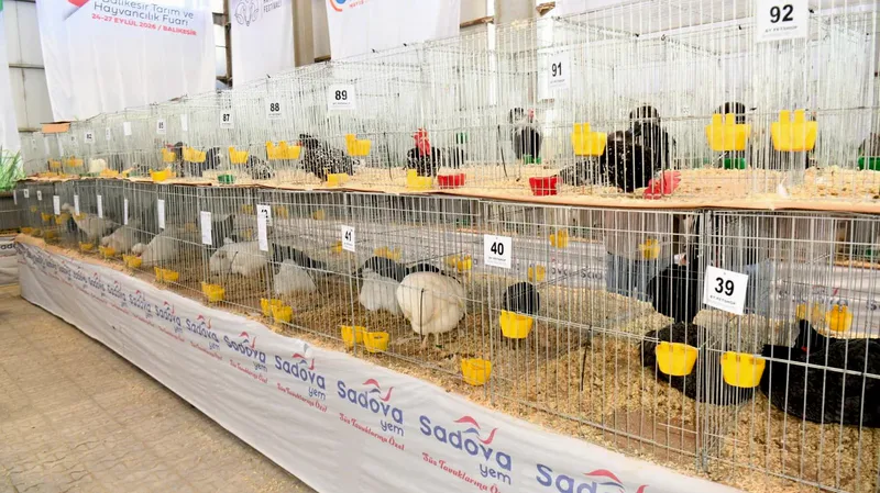 3. Balıkesir Tarım ve Hayvancılık Fuarı, dört günde 108 bin