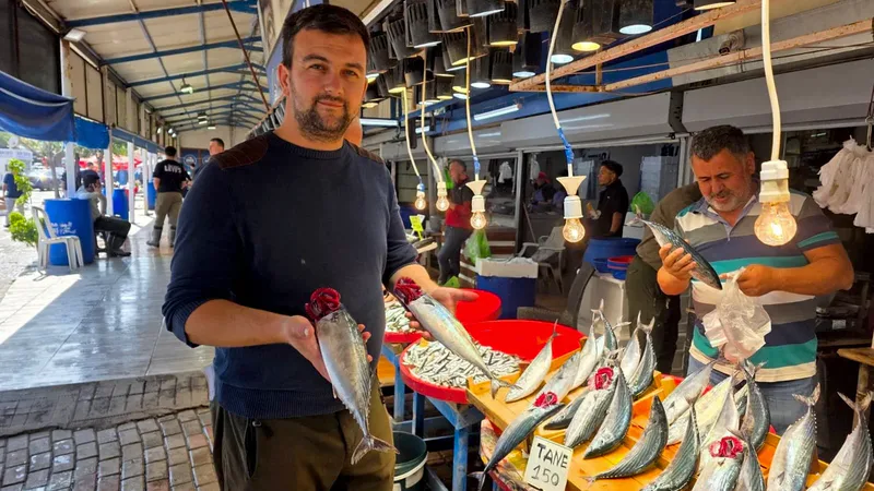 Bandırma'da balık sezonunun hareketlenmesiyle tezgahlarda palamut bolluğu yaşanıyor. 750 gram