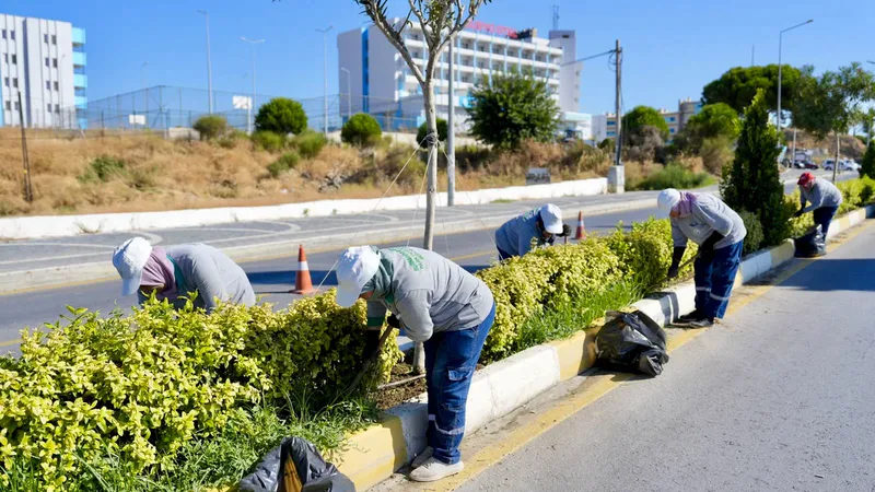 Burhaniye Belediyesi Park ve Bahçeler Müdürlüğü ekipleri, ilçe genelinde sonbahar