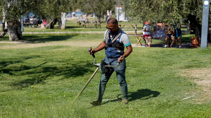 Burhaniye Belediyesi Park ve Bahçeler Müdürlüğü ekipleri, ilçe genelindeki parklarda