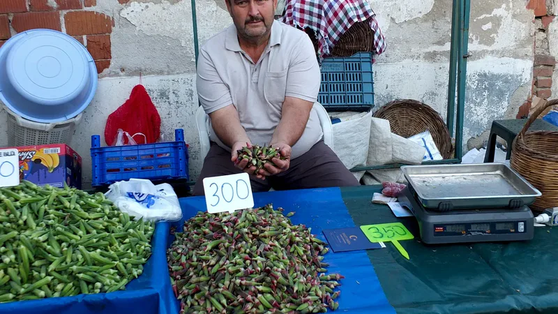 Burhaniye'nin Hisar köyünde çiftçilik yapan Mustafa Göksu, ilk kez ektiği