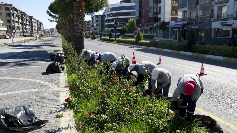Burhaniye Belediyesi Park ve Bahçeler Müdürlüğü, ilçe genelindeki parklar, refüjler