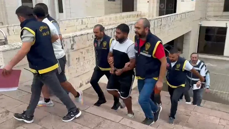 Edremit ilçesi İbrahimce Mahallesi'nde genel güvenliğin tehlikeye sokulması ve mala