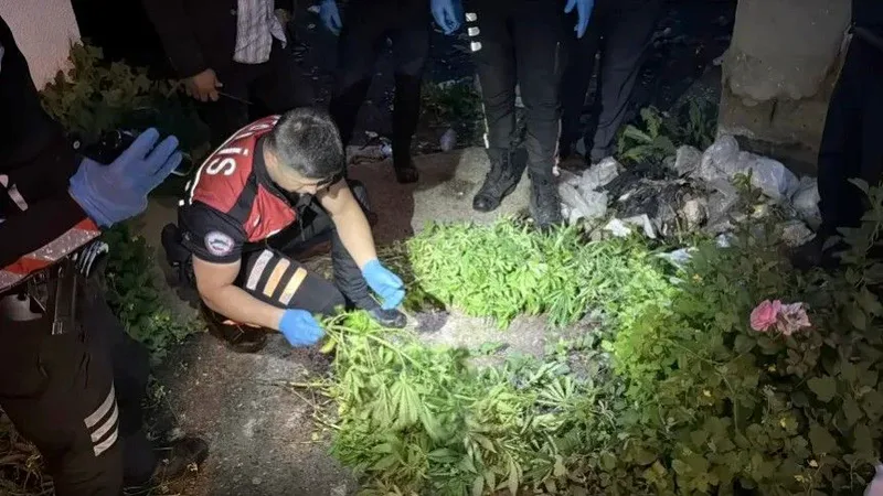 Erdek ilçesinde bir ikamet ve bahçesinde yapılan aramada 14 kök