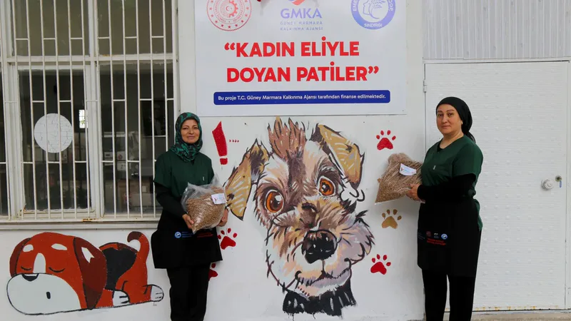 Güney Marmara'da hayata geçirilen 'Kadın Eliyle Doyan Patiler' projesi, gıda