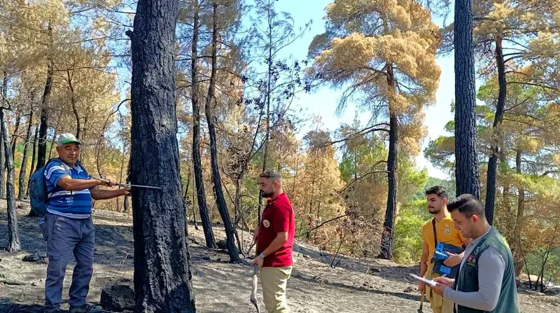 Balıkesir'in Sındırgı ilçesinde 19 Ağustos'ta bir araçtan çıkan ve rüzgârın