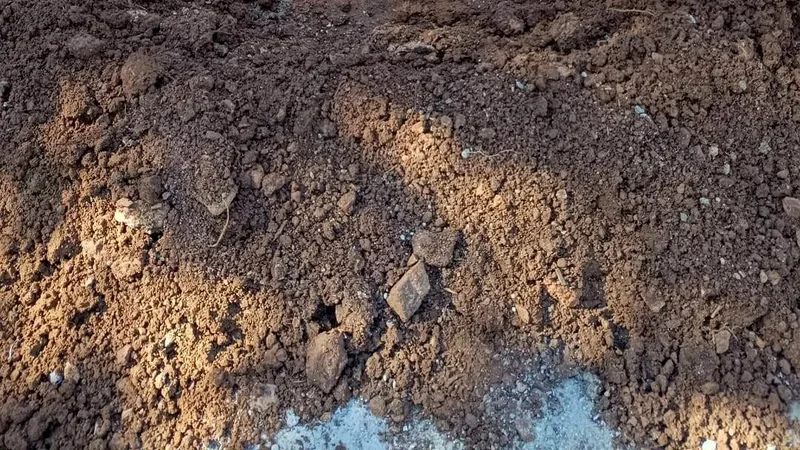 Ayvalık Belediyesi Park ve Bahçeler Müdürlüğü ekipleri, park bakımından mezar