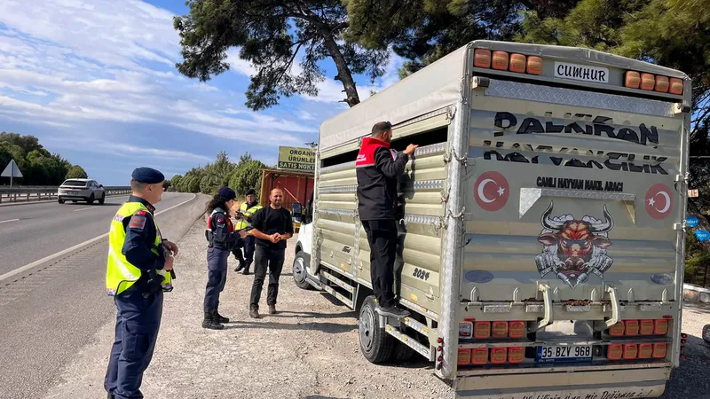 Balıkesir İl Tarım ve Orman Müdürlüğü, il genelinde canlı hayvan