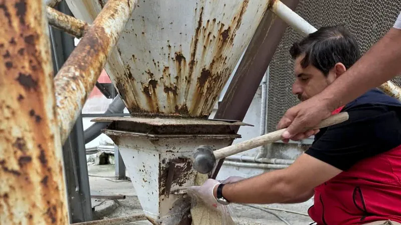 Balıkesir İl Tarım ve Orman Müdürlüğü, yem güvenliğini sağlamak amacıyla