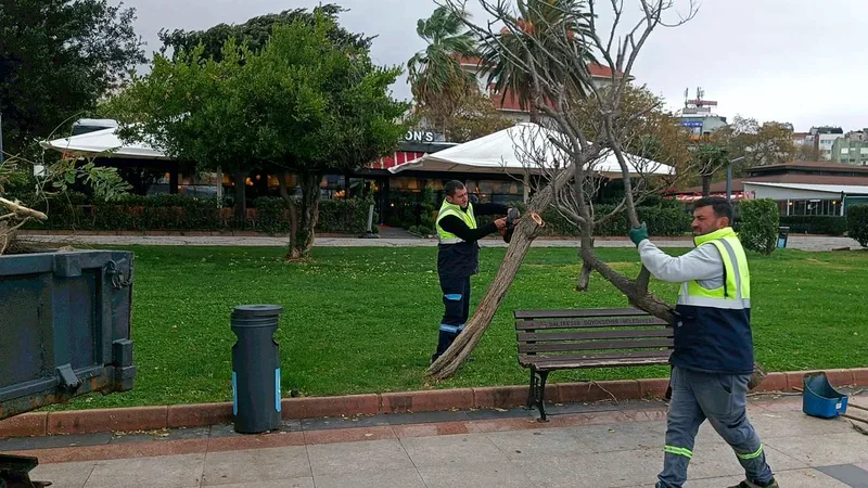 Balıkesir Büyükşehir Belediyesi ekipleri, Bandırma'da etkili olan şiddetli fırtınanın ardından