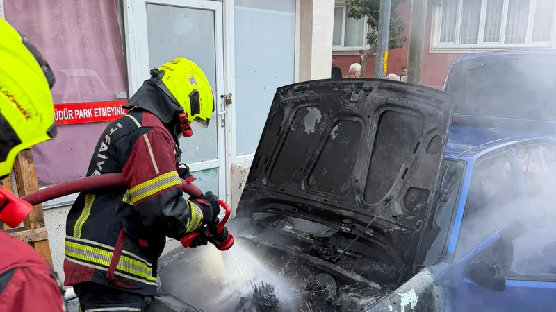 Bandırma ilçesi Paşabayır Mahallesi'nde park halindeki otomobilin motor bölümünde çıkan