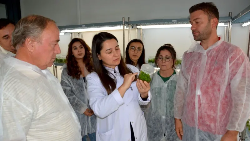 BAÇEM’in 6. Bitki Doku Kültürü Kursu, Türkiye’nin 13 ilinden gelen